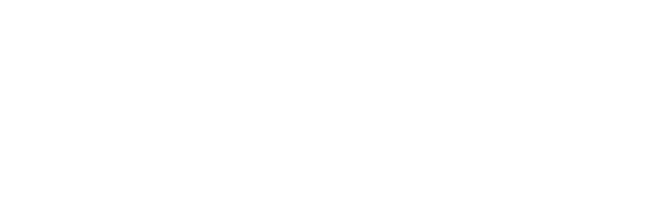 Logo Berner Group